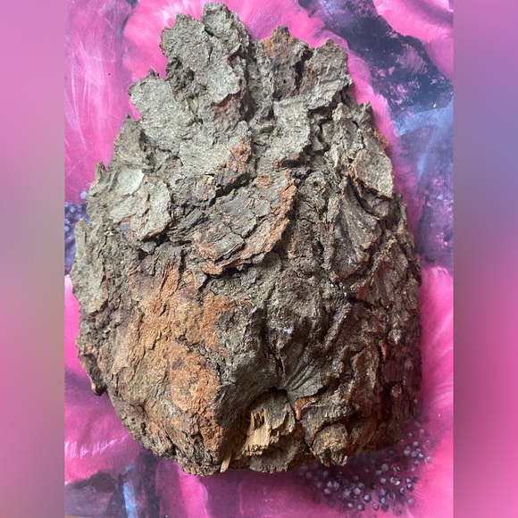 A Dor’ Elizdon Artwork on Live Edge Signed - Picture 3 of 4